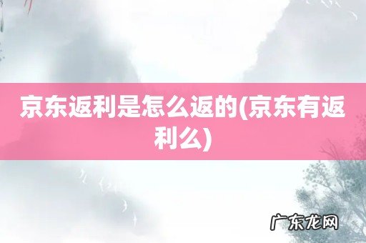 京东有返利么 京东返利是怎么返的