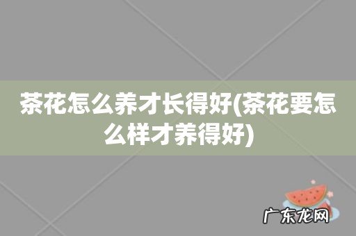 茶花要怎么样才养得好 茶花怎么养才长得好
