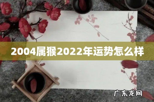 2004属猴2022年运势怎么样