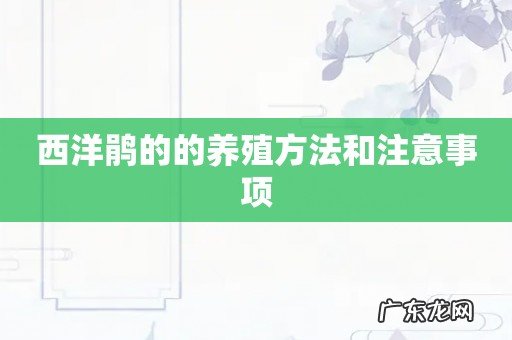西洋鹃的的养殖方法和注意事项