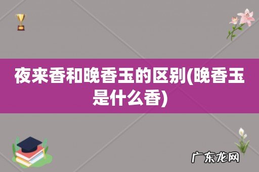 晚香玉是什么香 夜来香和晚香玉的区别