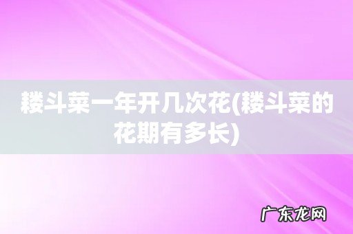 耧斗菜的花期有多长 耧斗菜一年开几次花