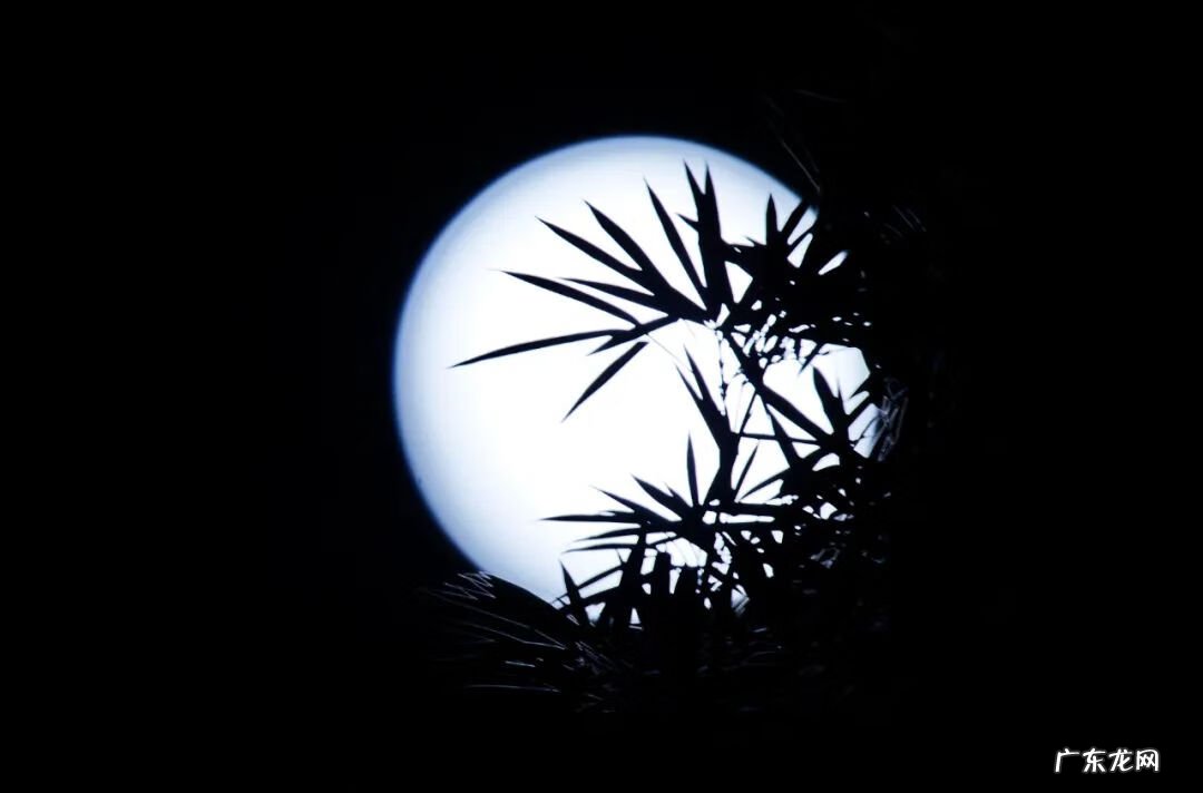 过中秋节的相关图片 关于中秋的图片有哪些