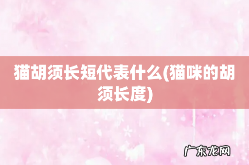 猫咪的胡须长度 猫胡须长短代表什么