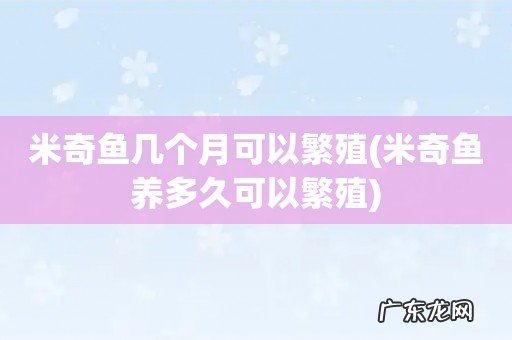 米奇鱼养多久可以繁殖 米奇鱼几个月可以繁殖