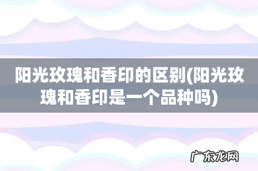 阳光玫瑰和香印是一个品种吗 阳光玫瑰和香印的区别