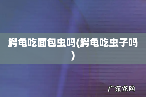 鳄龟吃虫子吗 鳄龟吃面包虫吗