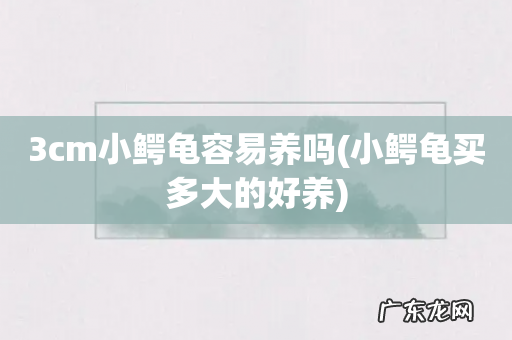 小鳄龟买多大的好养 3cm小鳄龟容易养吗