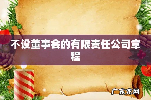 不设董事会的有限责任公司章程