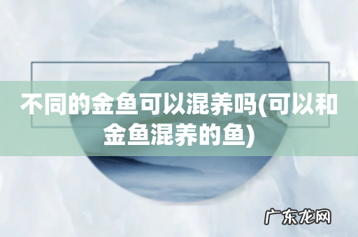 可以和金鱼混养的鱼 不同的金鱼可以混养吗