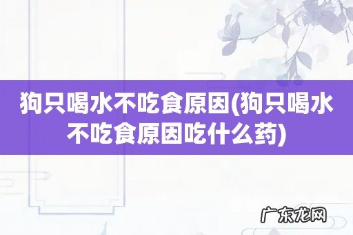 狗只喝水不吃食原因吃什么药 狗只喝水不吃食原因