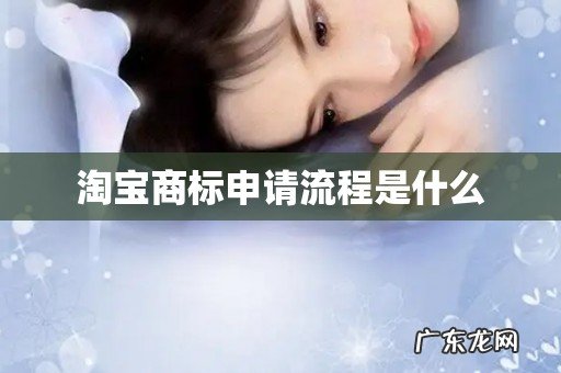 淘宝商标申请流程是什么