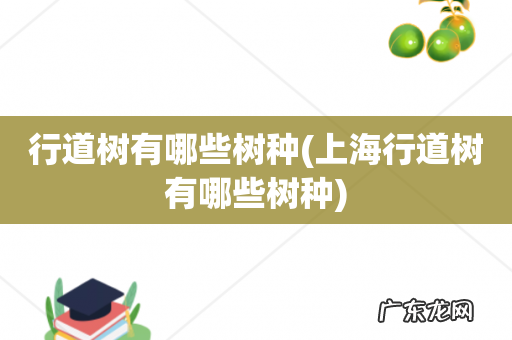 上海行道树有哪些树种 行道树有哪些树种