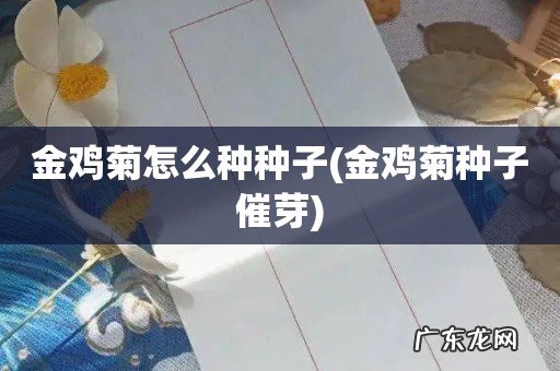 金鸡菊种子催芽 金鸡菊怎么种种子