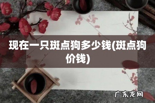斑点狗价钱 现在一只斑点狗多少钱