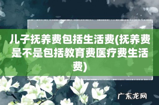 抚养费是不是包括教育费医疗费生活费 儿子抚养费包括生活费