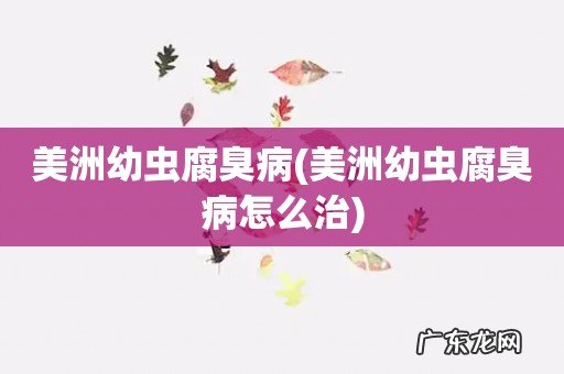 美洲幼虫腐臭病怎么治 美洲幼虫腐臭病