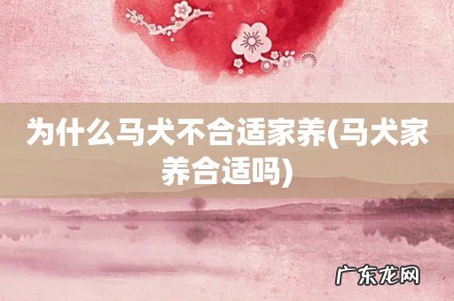 马犬家养合适吗 为什么马犬不合适家养