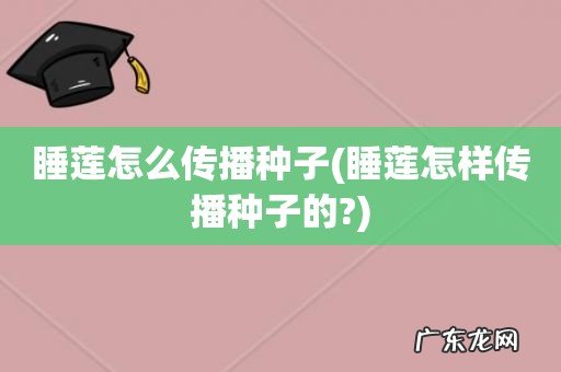 睡莲怎样传播种子的? 睡莲怎么传播种子