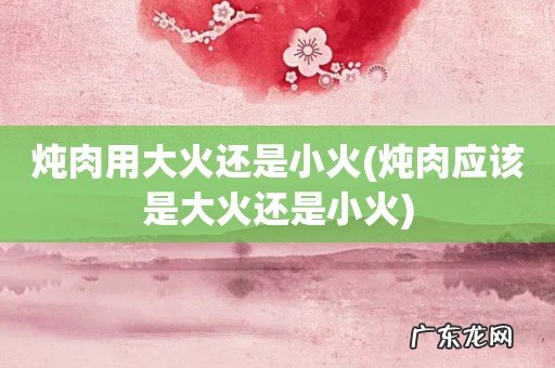 炖肉应该是大火还是小火 炖肉用大火还是小火