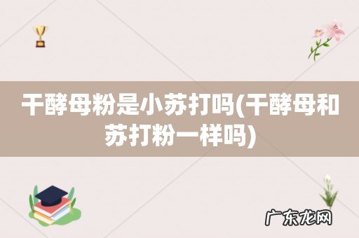 干酵母和苏打粉一样吗 干酵母粉是小苏打吗