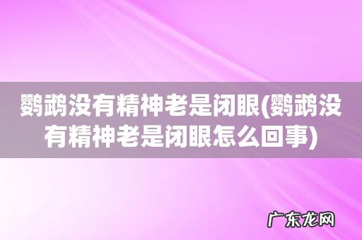 鹦鹉没有精神老是闭眼怎么回事 鹦鹉没有精神老是闭眼