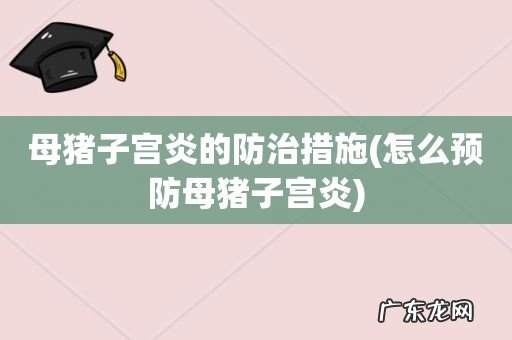 怎么预防母猪子宫炎 母猪子宫炎的防治措施