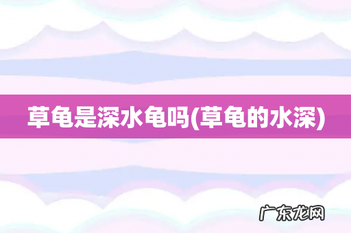 草龟的水深 草龟是深水龟吗