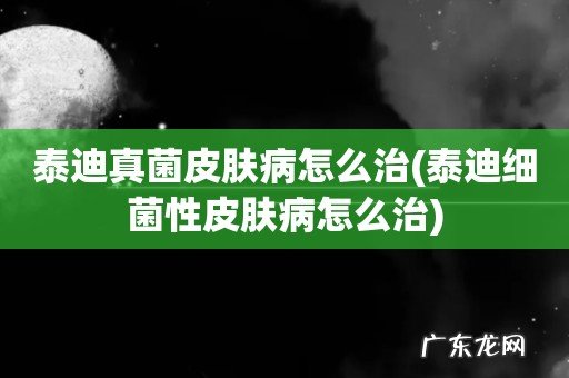 泰迪细菌性皮肤病怎么治 泰迪真菌皮肤病怎么治