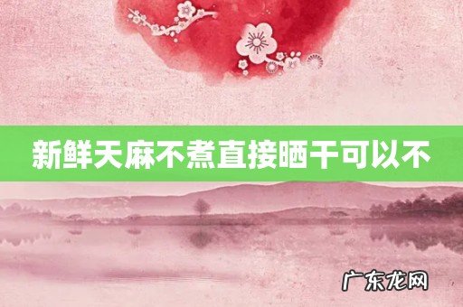 新鲜天麻不煮直接晒干可以不