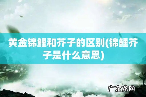 锦鲤芥子是什么意思 黄金锦鲤和芥子的区别