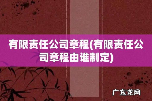 有限责任公司章程由谁制定 有限责任公司章程