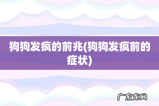 狗狗发疯前的症状 狗狗发疯的前兆