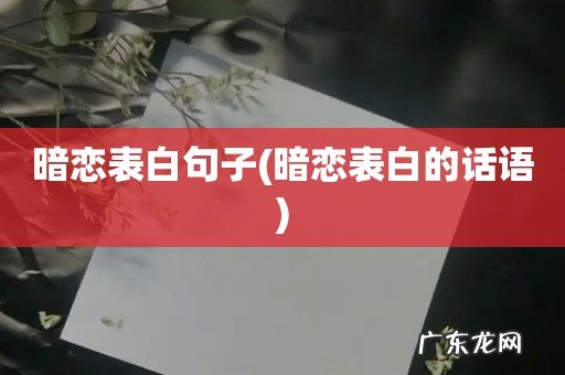 暗恋表白的话语 暗恋表白句子