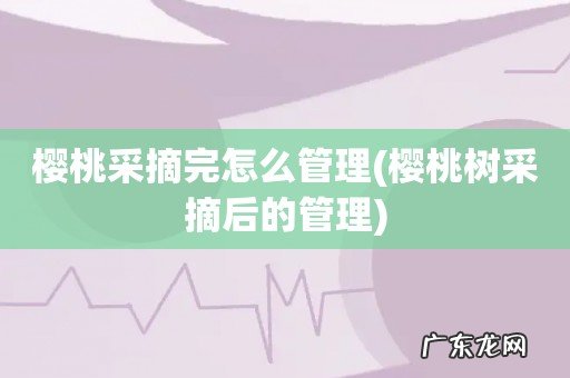 樱桃树采摘后的管理 樱桃采摘完怎么管理