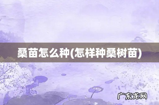 怎样种桑树苗 桑苗怎么种