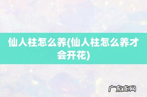仙人柱怎么养才会开花 仙人柱怎么养