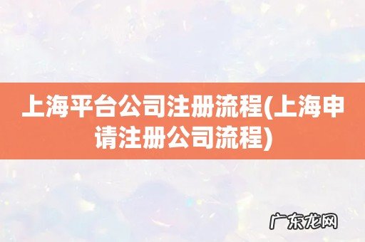 上海申请注册公司流程 上海平台公司注册流程