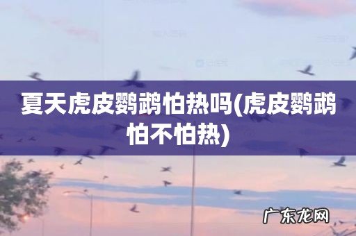 虎皮鹦鹉怕不怕热 夏天虎皮鹦鹉怕热吗