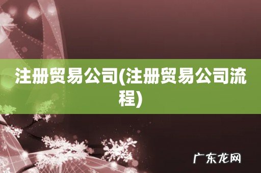 注册贸易公司流程 注册贸易公司