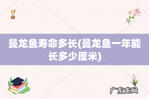 曼龙鱼一年能长多少厘米 曼龙鱼寿命多长