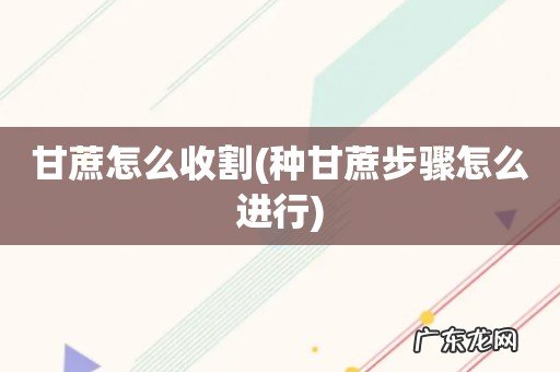 种甘蔗步骤怎么进行 甘蔗怎么收割