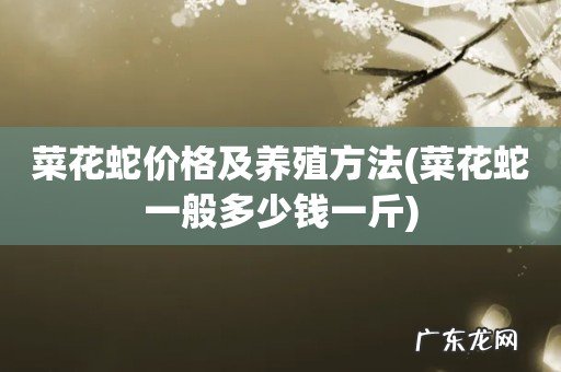 菜花蛇一般多少钱一斤 菜花蛇价格及养殖方法