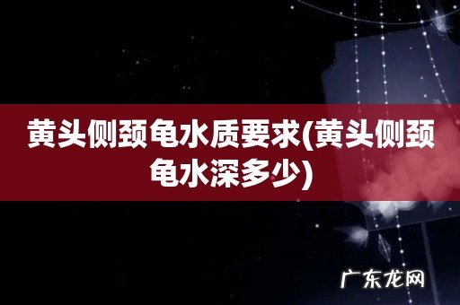 黄头侧颈龟水深多少 黄头侧颈龟水质要求