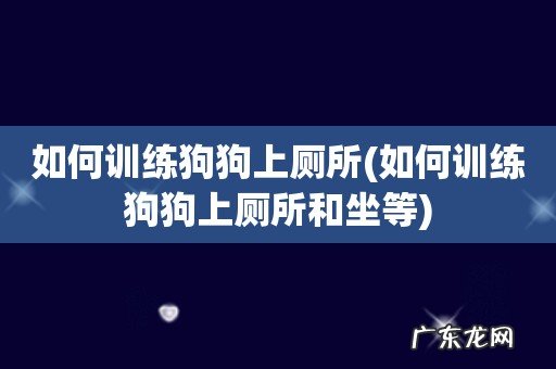 如何训练狗狗上厕所和坐等 如何训练狗狗上厕所