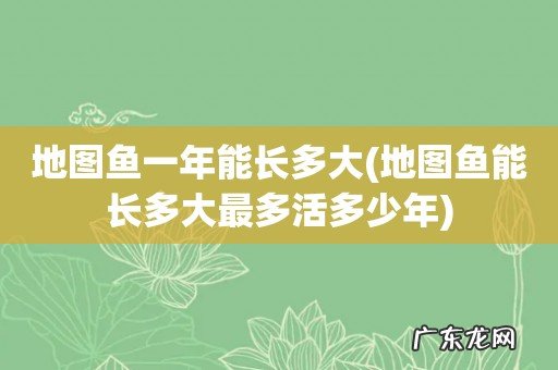 地图鱼能长多大最多活多少年 地图鱼一年能长多大
