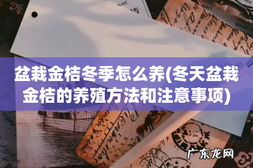 冬天盆栽金桔的养殖方法和注意事项 盆栽金桔冬季怎么养