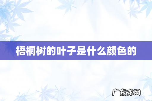 梧桐树的叶子是什么颜色的