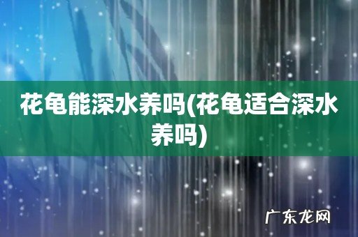 花龟适合深水养吗 花龟能深水养吗