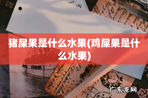 鸡屎果是什么水果 猪屎果是什么水果